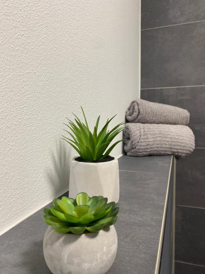 Wood II Appartement Bad Salzuflen Zewnętrze zdjęcie